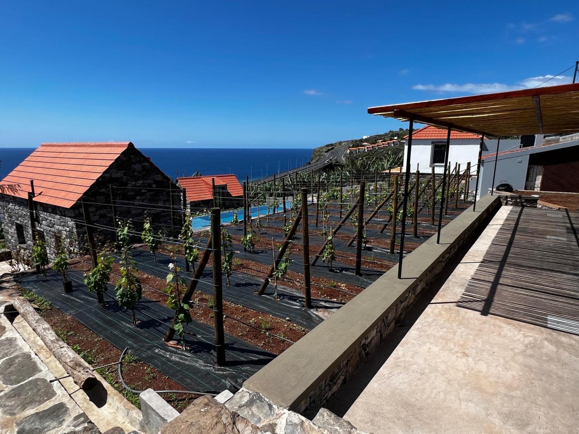 Casas Do Laranjo- Cottages & Infinity Pool Gaula 외부 사진